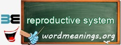 WordMeaning blackboard for reproductive system